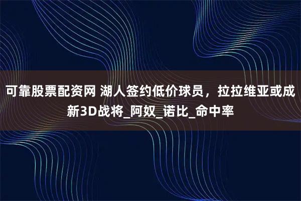 可靠股票配资网 湖人签约低价球员，拉拉维亚或成新3D战将_阿奴_诺比_命中率